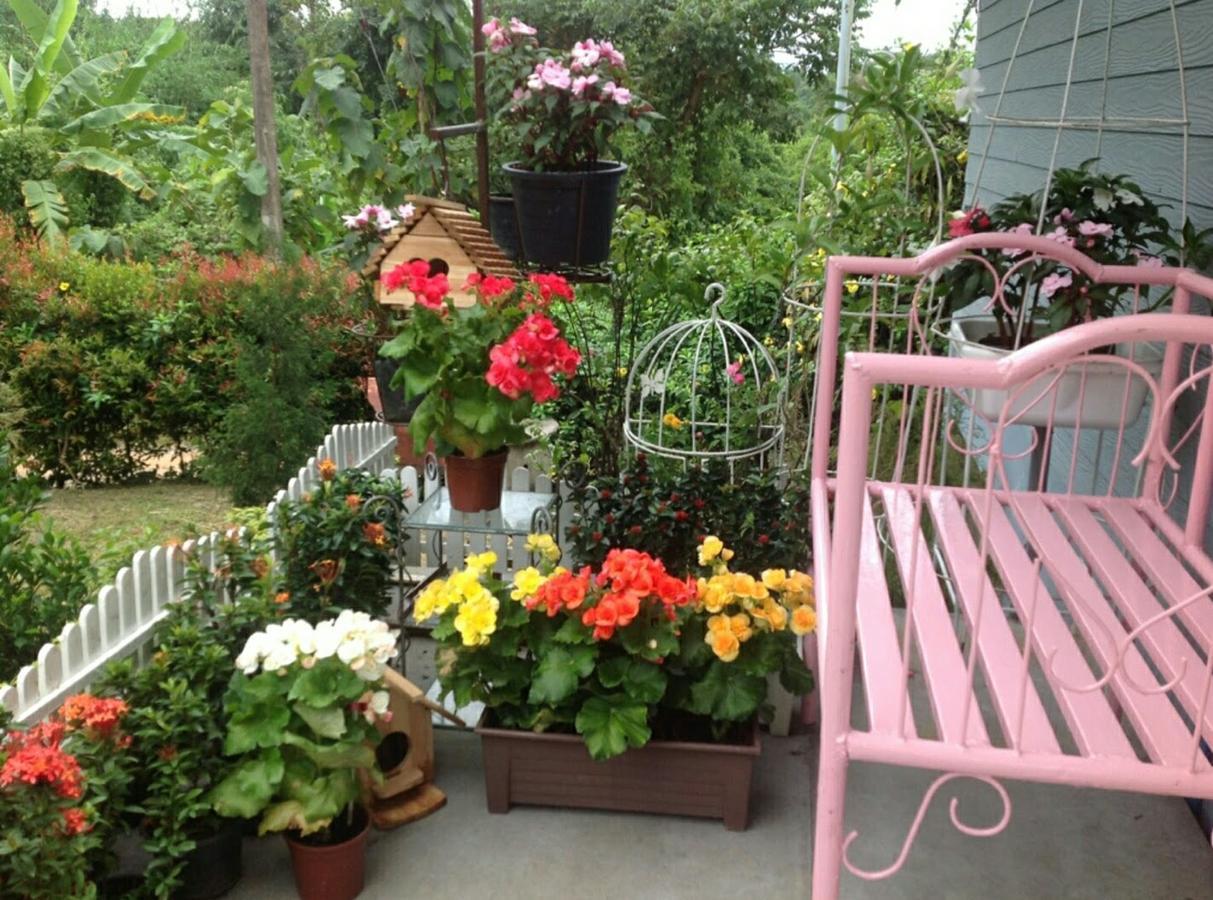 Baan Jaokorkluay บ้านเจ้ากอกล้วย Chiang Rai Exterior photo
